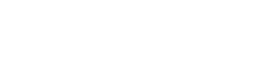 Evolvager Logo