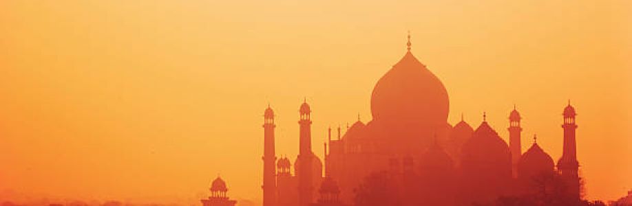 evisa Indian Cover Image