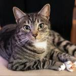 jonnyjayb Profile Picture