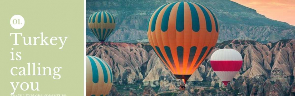 bralin allison Cover Image