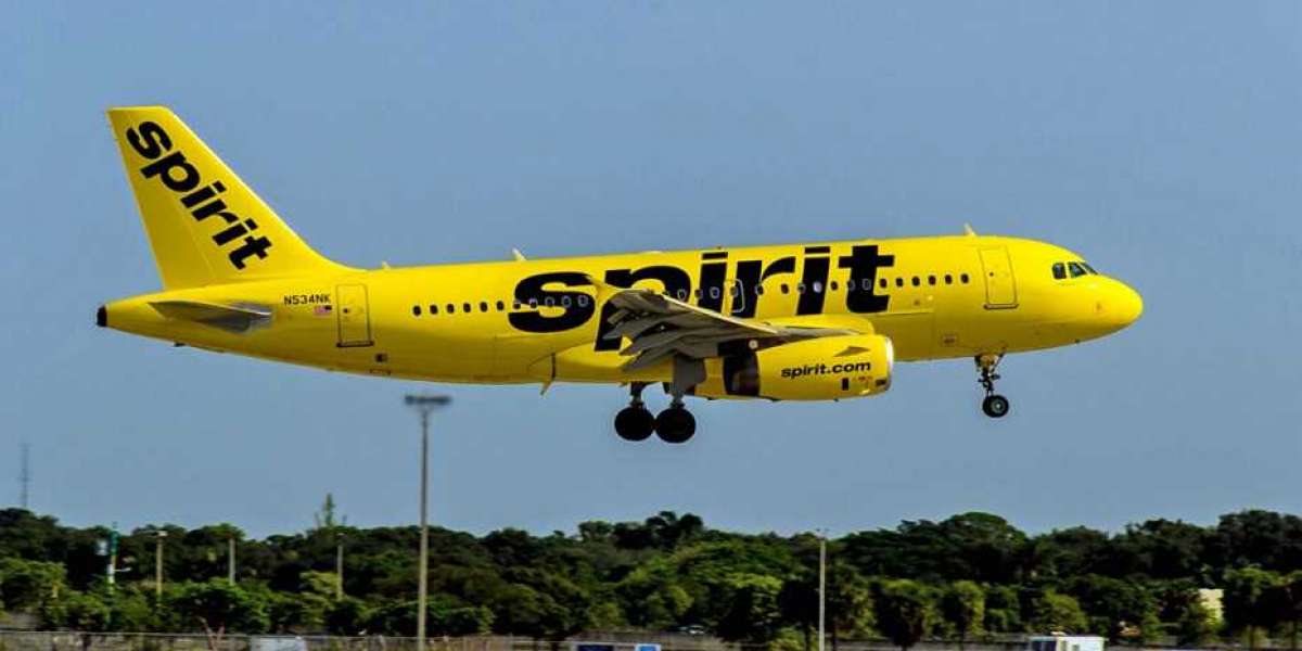 What Is The Use Of Spirit Airlines Domestic Flights Booking