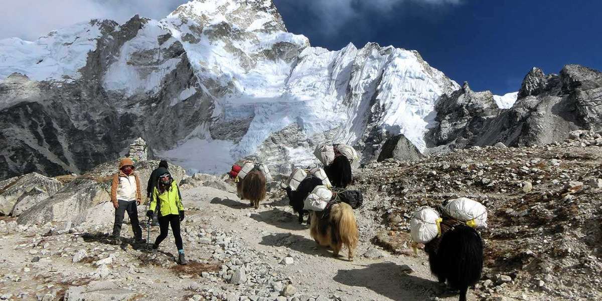 Get Top Class Everest Base Camp Budget trek- Himalayan Trekkers