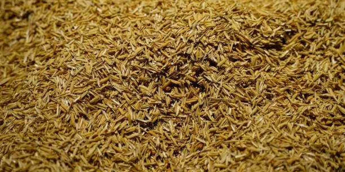 DDGS Market: Global Analysis, Size, Share, Trends, Growth and Forecast